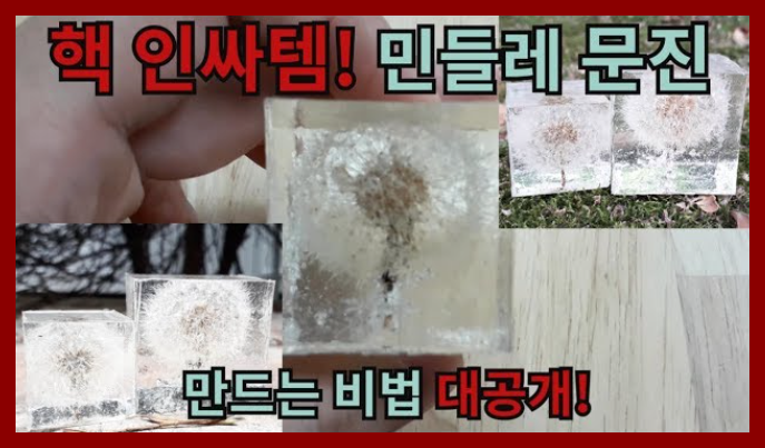 [영상왕]핵 인싸템! 민들레 문진 만드는 비법 대공개!!